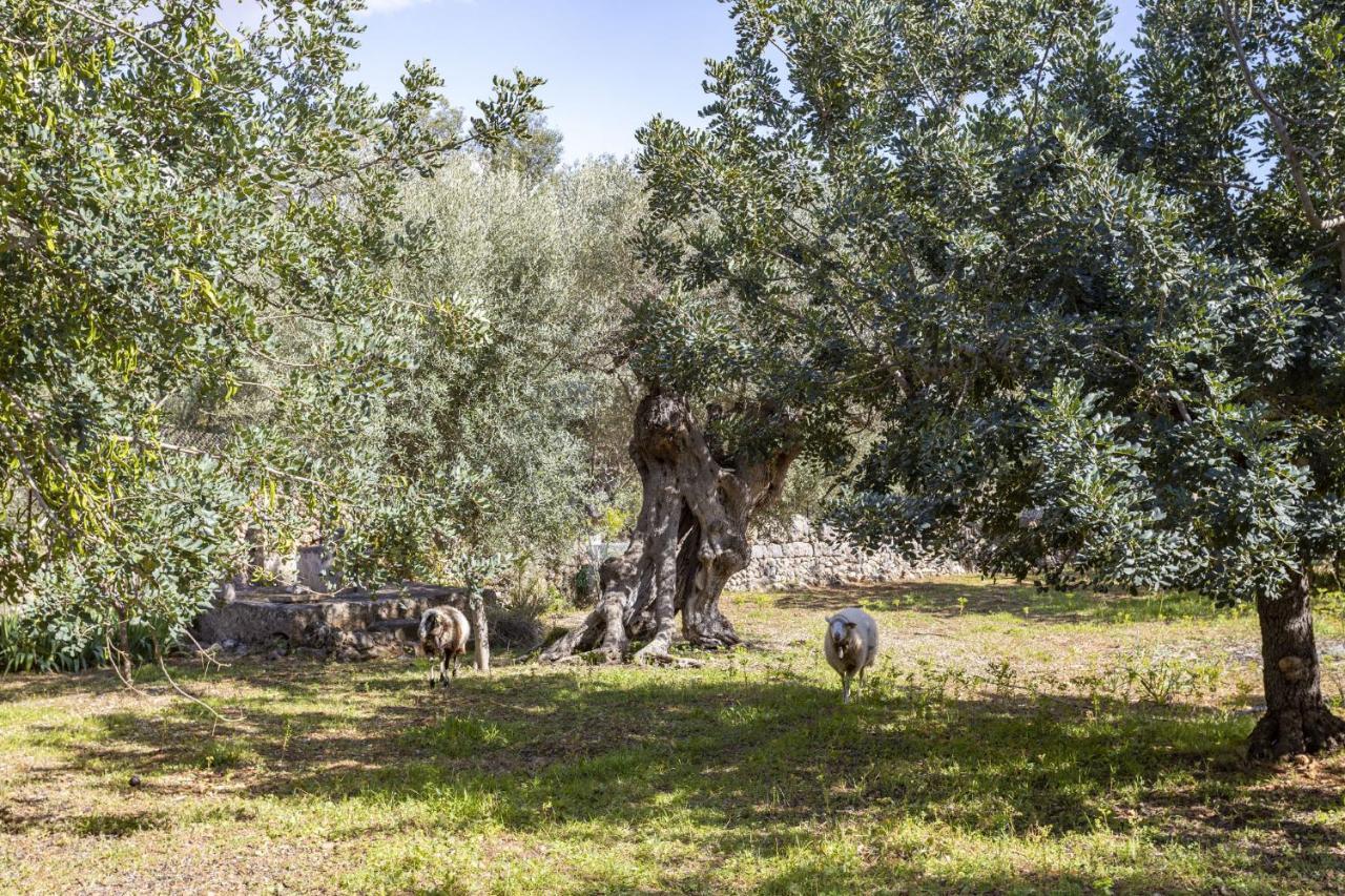 Finca Barons ブニョラ エクステリア 写真