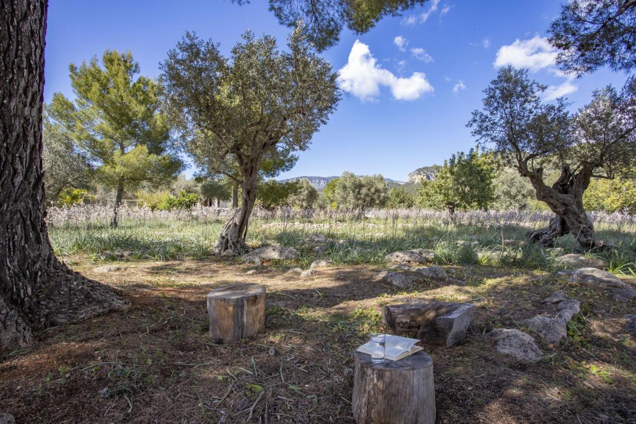 Finca Barons ブニョラ エクステリア 写真